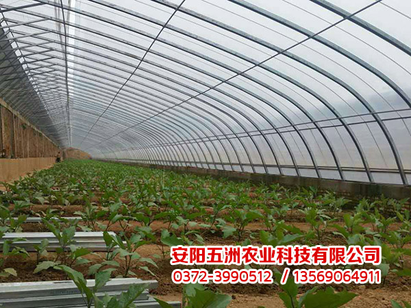 幾字鋼大棚 幾字鋼大棚